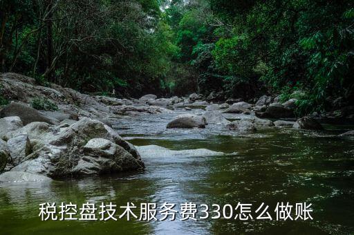 稅控盤(pán)技術(shù)服務(wù)費(fèi)330怎么做賬