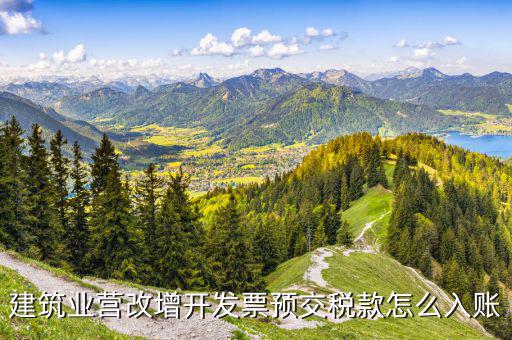 建筑行業(yè)開票前如何預(yù)交稅金，建筑業(yè)開發(fā)票了但沒有在當(dāng)?shù)仡A(yù)交稅款怎么申報