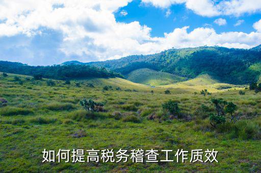 如何提高國稅稽查工作質(zhì)效，如何提高稅務稽查工作質(zhì)效