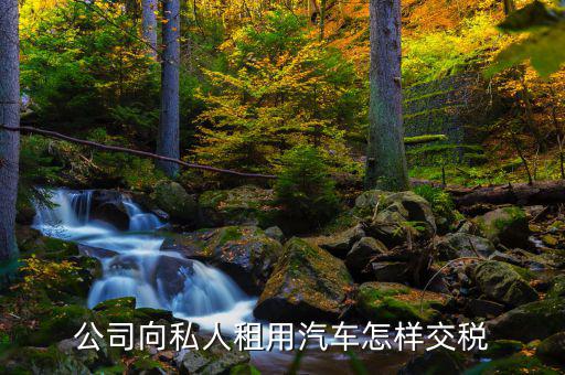 個人租賃車輛如何交稅嗎，租個人的車輛應(yīng)該繳納哪幾種稅并且稅率是多少