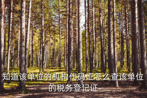 如何查企業(yè)稅務(wù)局登記，公司的稅務(wù)登記證號(hào)怎么查詢