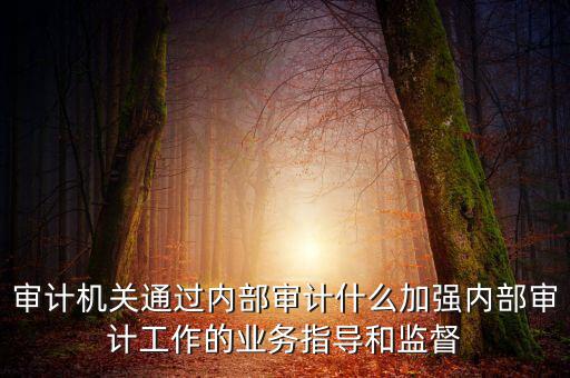如何進(jìn)一步加強(qiáng)督察內(nèi)審工作，如何加強(qiáng)紀(jì)檢監(jiān)察系統(tǒng)內(nèi)部監(jiān)督管理