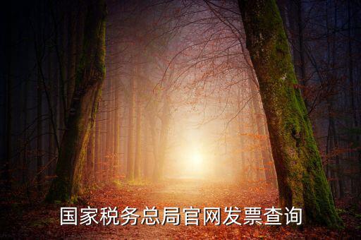 江蘇國(guó)稅如何查詢發(fā)票，江蘇發(fā)票真?zhèn)尾樵內(nèi)绾尾樵兘K發(fā)票真?zhèn)尾樵內(nèi)绾尾樵冏钪匾氖沁M(jìn)