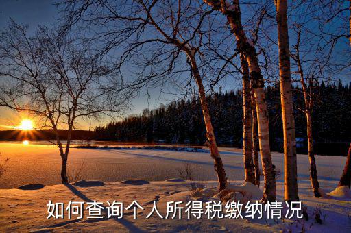 如何查詢自己交稅情況，個人繳稅記錄怎么查詢