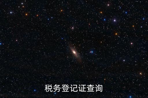 稅務(wù)機關(guān)備案信息如何查詢系統(tǒng)，稅務(wù)登記證查詢