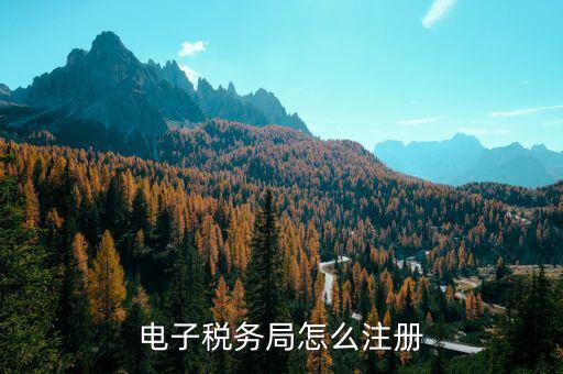 如何注冊(cè)福建電子稅務(wù)局賬號(hào)，電子稅務(wù)局怎么注冊(cè) 電子稅務(wù)局注冊(cè)流程
