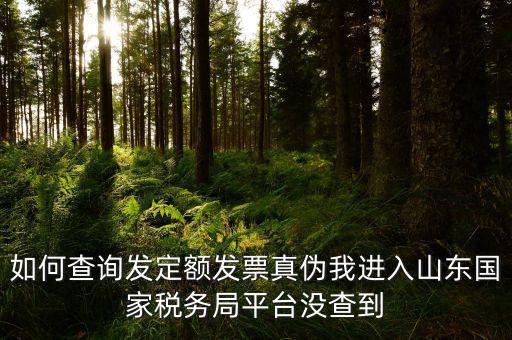 公交卡定額發(fā)票如何查詢真?zhèn)?，如何查詢發(fā)定額發(fā)票真?zhèn)挝疫M(jìn)入山東國家稅務(wù)局平臺沒查到