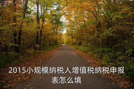 小規(guī)模納稅人國稅申報表如何填，小規(guī)模納稅人的報表怎么填