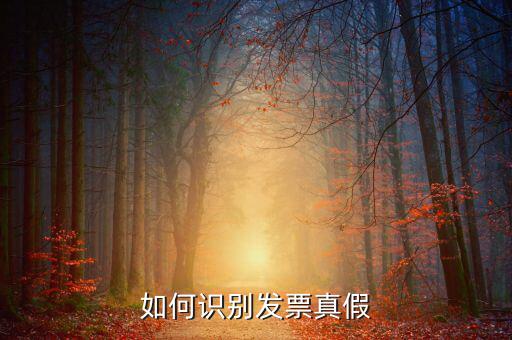 深圳國稅局發(fā)票如何查詢真?zhèn)尾樵?，如何在認(rèn)證前查驗發(fā)票真?zhèn)?/></a></span><span id=