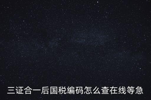 如何查詢個(gè)人稅務(wù)編號(hào)查詢系統(tǒng)，請(qǐng)問在哪里可以查到納稅人編碼