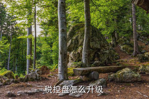 個(gè)人所得稅軟件如何升級(jí)，軟件怎樣升級(jí)
