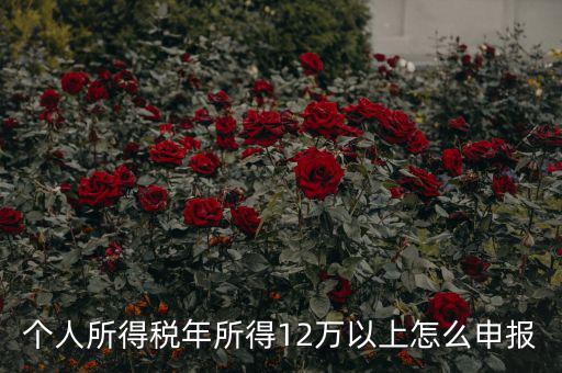 陜西地稅 12萬以上如何申報(bào)，個人所得稅年所得12萬以上怎么申報(bào)
