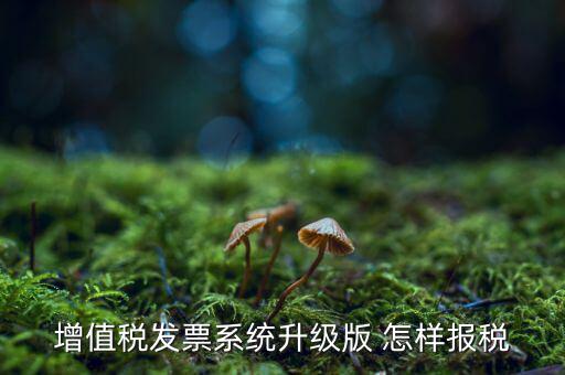 如何更新發(fā)票系統(tǒng)版本，如何將開票軟件升級(jí)為最新版本