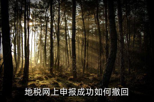 地稅網(wǎng)上已預(yù)約如何取消預(yù)約，地稅網(wǎng)上申報(bào)成功如何撤回