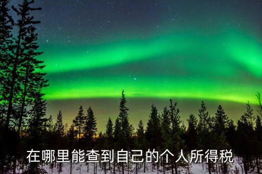 稅務(wù)如何查個(gè)稅，個(gè)稅怎么查