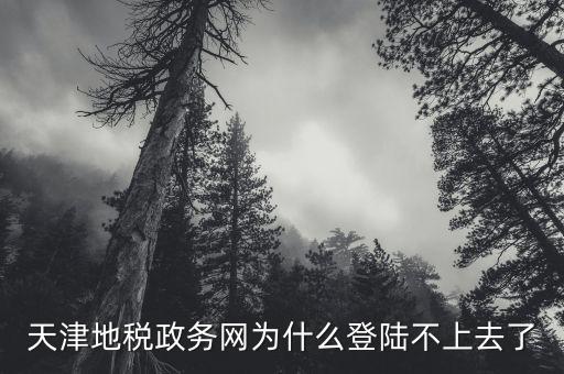 天津地稅如何登錄，天津地稅政務(wù)網(wǎng)為什么登陸不上去了