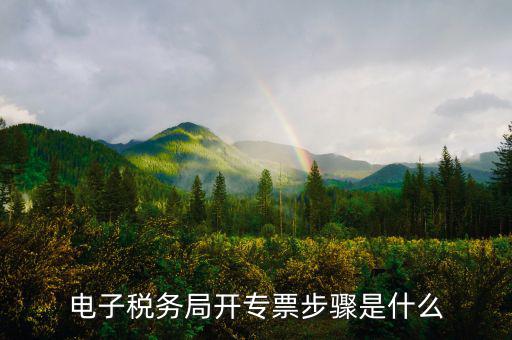 山西省稅務(wù)局網(wǎng)上如何開專票，如何開增值稅專用發(fā)票