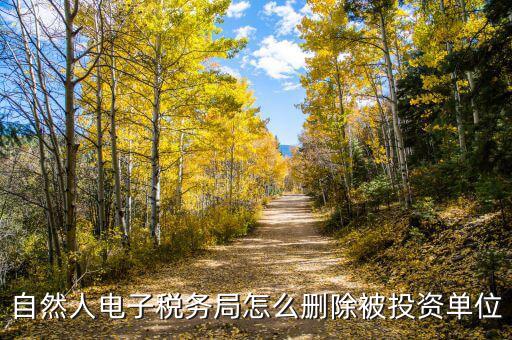 電子稅務(wù)局如何刪除不管的企業(yè)，電子稅務(wù)局網(wǎng)頁怎么清除企業(yè)稅號記錄