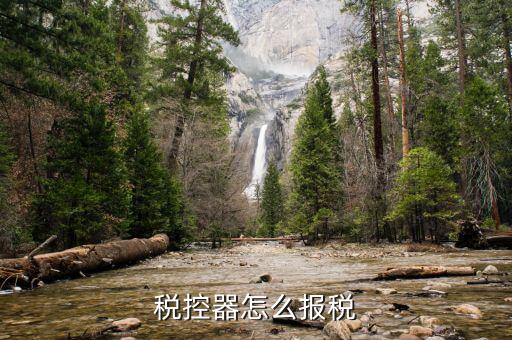 有稅控盤如何報稅，稅控器怎么報稅