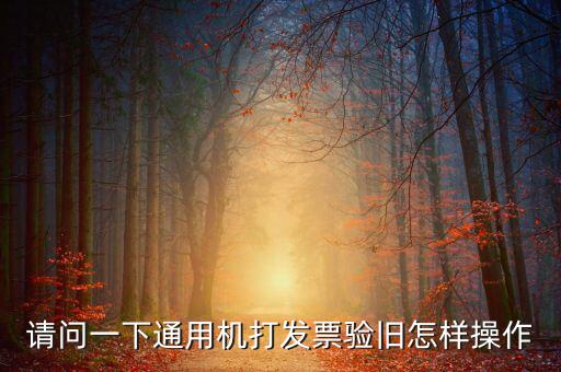 定額通用發(fā)票如何驗(yàn)舊，請(qǐng)問(wèn)一下通用機(jī)打發(fā)票驗(yàn)舊怎樣操作