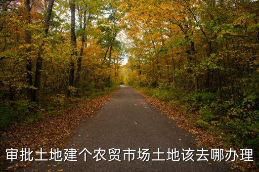 農(nóng)貿(mào)市場土地如何取得，審批土地建個農(nóng)貿(mào)市場土地該去哪辦理
