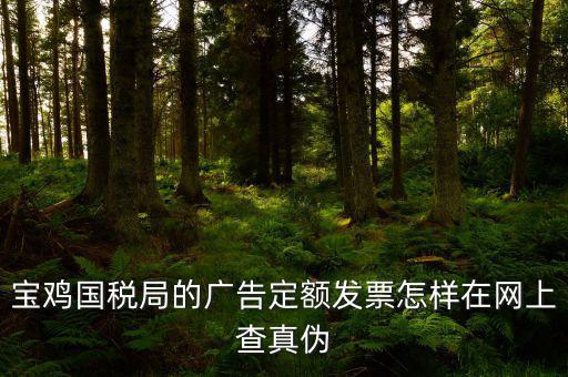 國稅定額發(fā)票如何查驗，國稅的定額發(fā)票怎么辨別真假制作的跟假的似的