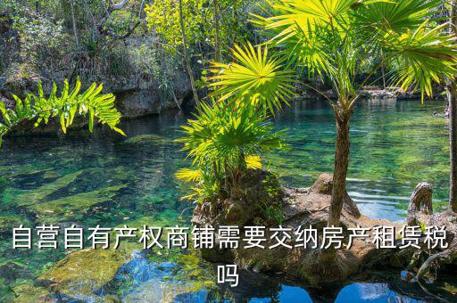 自有商鋪如何繳租賃稅，自有商鋪 是否交出租稅