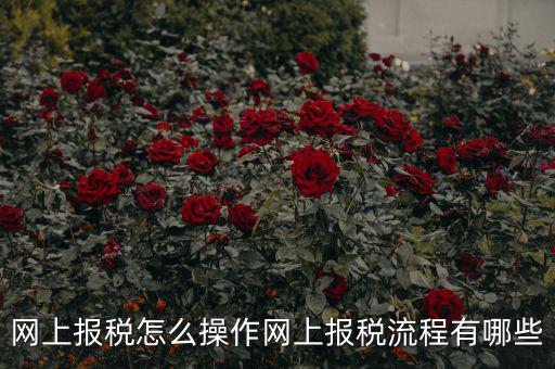 江蘇省網(wǎng)上稅務(wù)局如何報稅，網(wǎng)上報稅怎么操作網(wǎng)上報稅流程有哪些