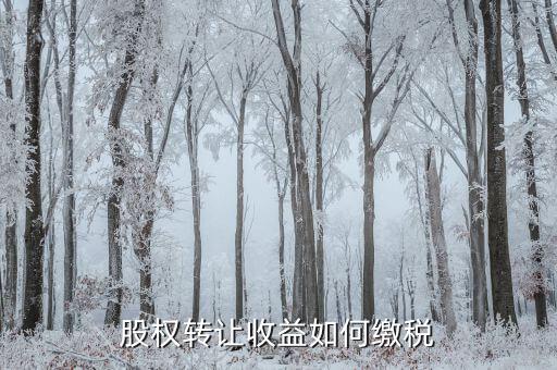 股權(quán)轉(zhuǎn)讓收益如何納稅，股權(quán)轉(zhuǎn)讓收益如何繳稅