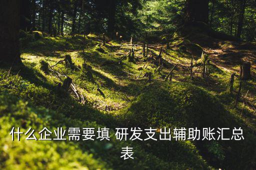 研發(fā)支出 輔助賬匯總表如何填寫，什么企業(yè)需要填 研發(fā)支出輔助賬匯總表