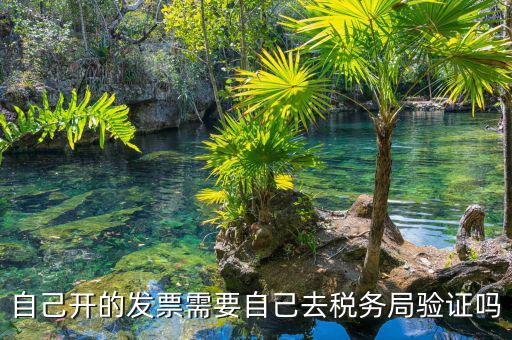 如何去稅務(wù)局驗(yàn)證發(fā)票嗎，發(fā)票怎么去稅務(wù)局驗(yàn)證需要什么資料