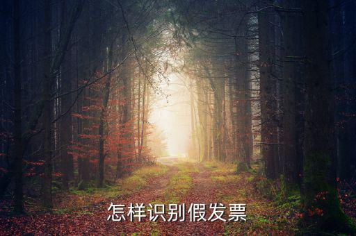 如何驗(yàn)證假發(fā)票，怎么識(shí)別假發(fā)票啊
