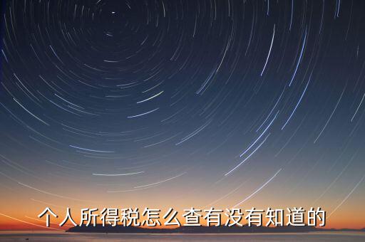 張家港個人所得稅如何查詢，個人所得稅怎么查有沒有知道的