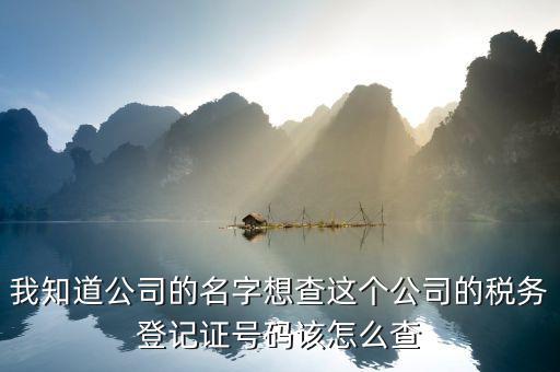 山東 如何查企業(yè)稅務(wù)信息查詢，我知道公司的名字想查這個(gè)公司的稅務(wù)登記證號碼該怎么查