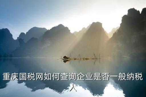 如何查詢一般納稅人資格，怎么查上海企業(yè)有沒有一般納稅人資格