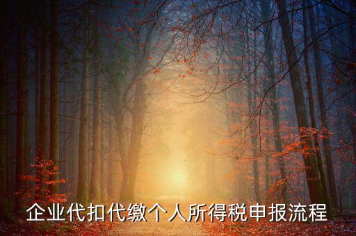 網(wǎng)上如何進(jìn)入代扣代繳申報，企業(yè)代扣代繳個人所得稅申報流程