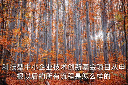 科技型優(yōu)惠如何備案，研發(fā)費用加計扣除優(yōu)惠備案的要點有哪些