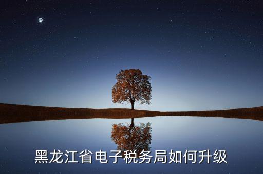 如何升級(jí)國(guó)稅系統(tǒng)，河南省電子稅務(wù)局版本過(guò)低怎么升級(jí)