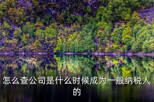 如何查詢一般人納稅認定時間，怎么查公司是什么時候成為一般納稅人的