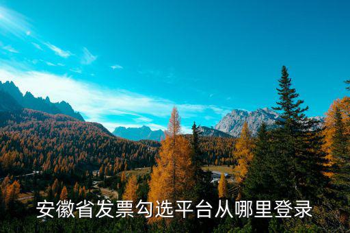 安徽省如何在網(wǎng)上申請購發(fā)票，安徽省發(fā)票勾選平臺從哪里登錄
