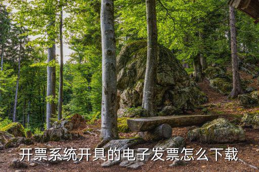 發(fā)票助手如何安裝在手機上，增值稅發(fā)票稅控開票軟件怎么安裝