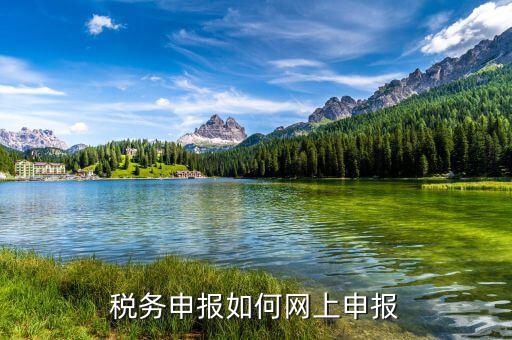 自然人如何網(wǎng)上報(bào)稅，稅務(wù)申報(bào)如何網(wǎng)上申報(bào)