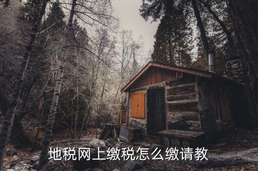 地稅如何交稅嗎，地稅網(wǎng)上繳稅怎么繳請(qǐng)教