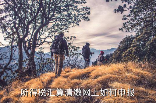 清稅申請(qǐng)如何在云稅廳申請(qǐng)，網(wǎng)上企業(yè)所得稅匯算清繳如何申報(bào)
