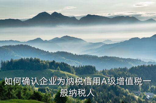納稅信用等級(jí)a級(jí)以下如何查詢，如何確認(rèn)企業(yè)為納稅信用A級(jí)增值稅一般納稅人