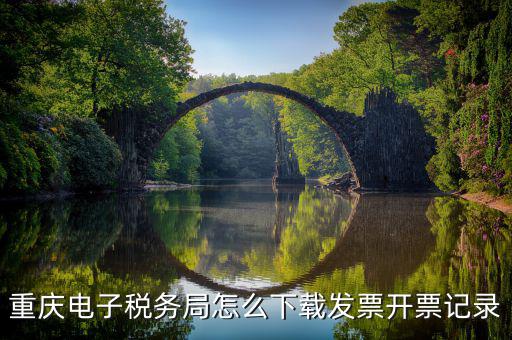 重慶市稅務(wù)局電腦如何下載，重慶市自然人電子稅務(wù)局扣繳端怎么下載