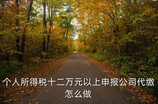 如何做好12萬(wàn)元申報(bào)征收工作，個(gè)人所得稅十二萬(wàn)元以上申報(bào)公司代繳怎么做