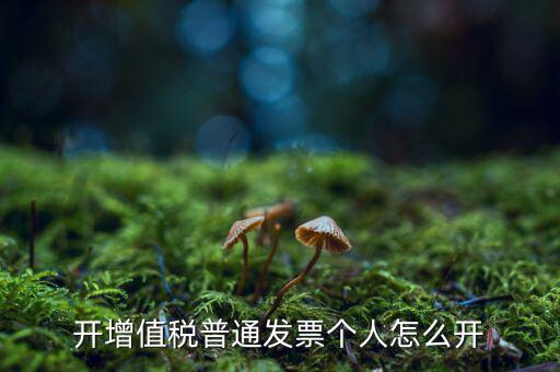 普票如何開給個(gè)人，增值稅普通發(fā)票開個(gè)人需要什么資料