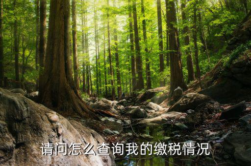 繳納稅款如何查詢，請問怎么查詢我的繳稅情況