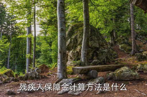 廣西殘疾人保障金如何計算，殘疾人保障金怎么計算